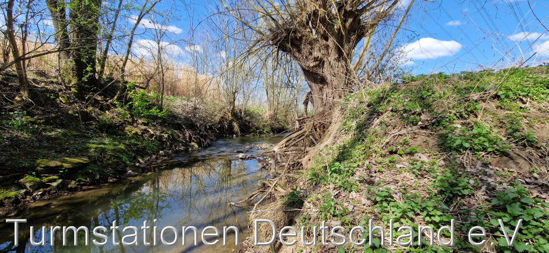 Bild zum Eintrag (1120282-329)