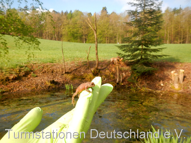 Bild zum Eintrag (1120772-329)