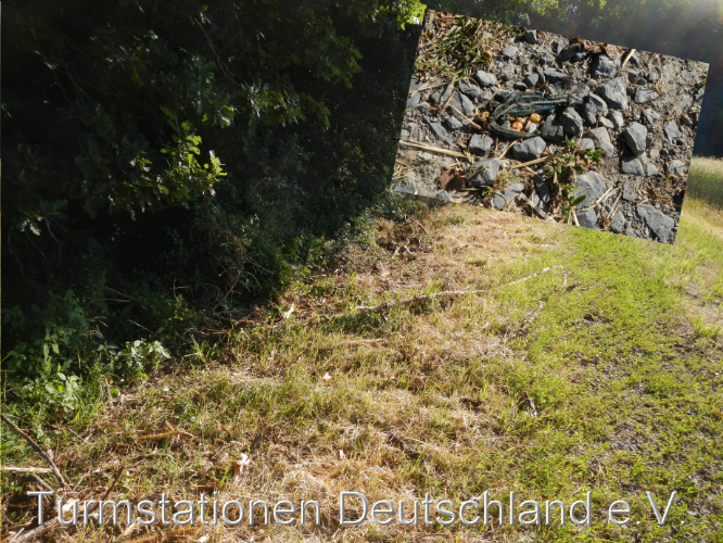 Bild zum Eintrag (1123765-329)