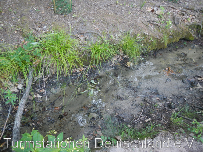 Bild zum Eintrag (1124192-329)