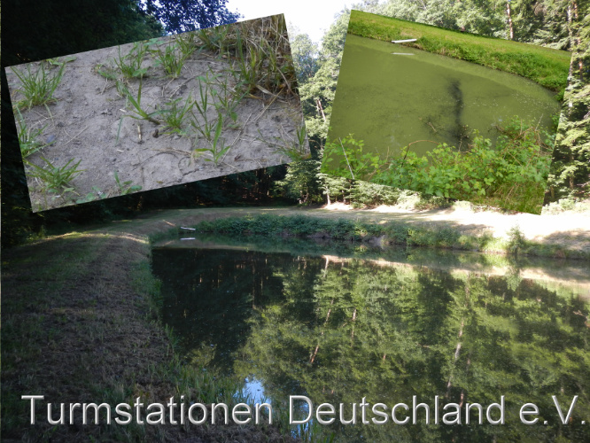 Bild zum Eintrag (1124340-329)
