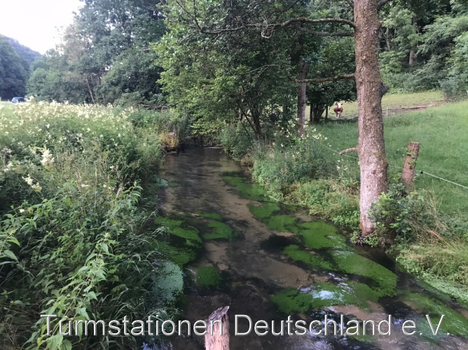 Bild zum Eintrag (1124669-329)