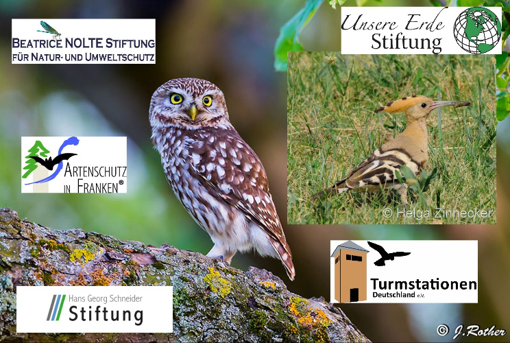Bild zum Eintrag (1124725-329)