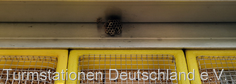 Bild zum Eintrag (1125400-329)