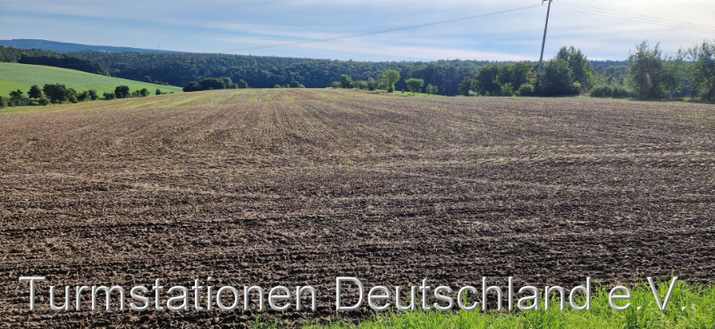 Bild zum Eintrag (1126369-329)
