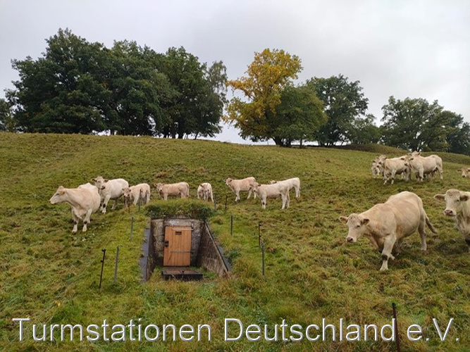 Bild zum Eintrag (1127697-329)