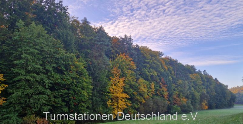 Bild zum Eintrag (1127872-329)