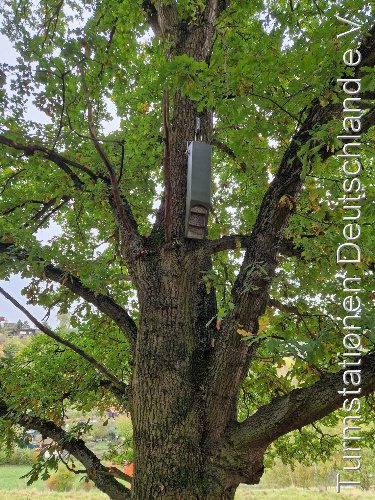 Bild zum Eintrag (1128413-329)