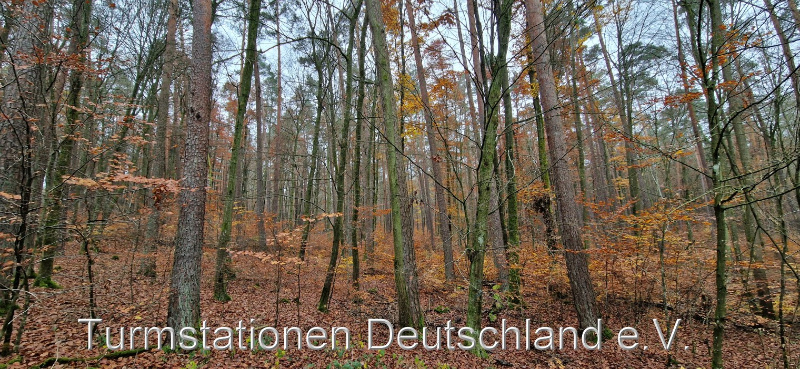 Bild zum Eintrag (1129015-329)