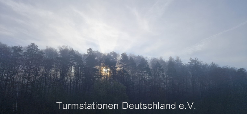 Bild zum Eintrag (1129290-329)