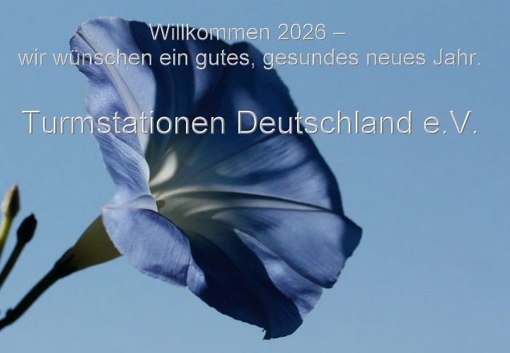 Bild zum Eintrag (1131561-329)