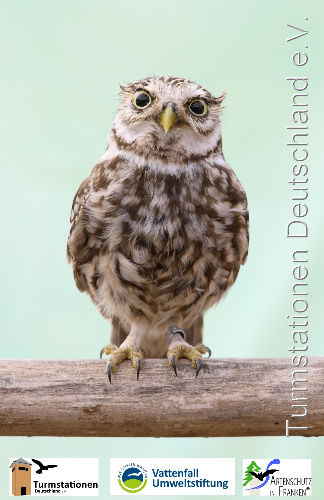 Bild zum Eintrag (1131562-329)