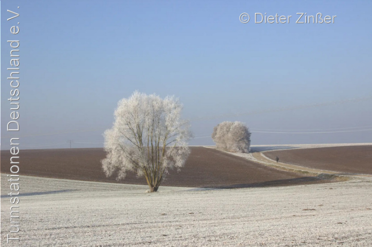 Bild zum Eintrag (1134049-329)