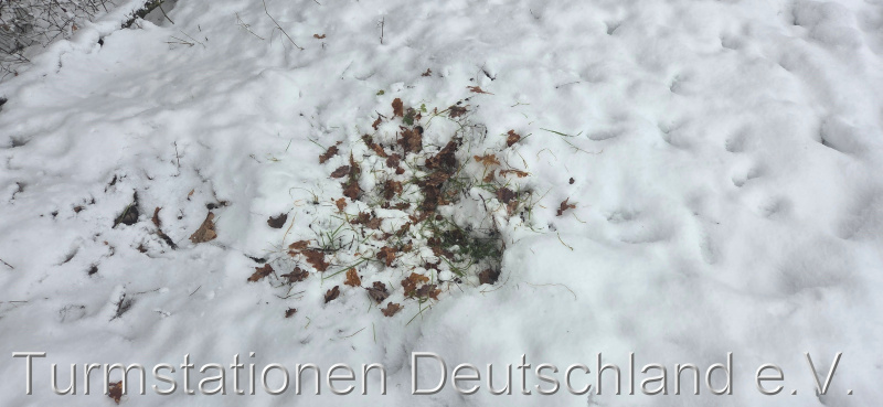 Bild zum Eintrag (1134870-329)