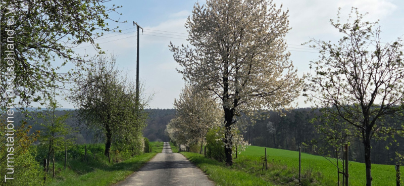 Bild zum Eintrag (1140091-329)