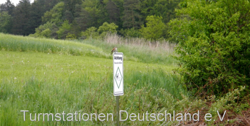 Bild zum Eintrag (1141367-329)