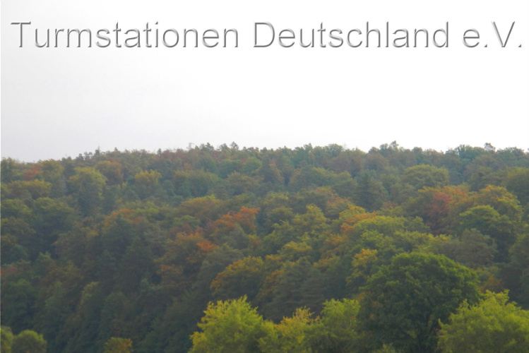 Bild zum Eintrag (1148016-329)