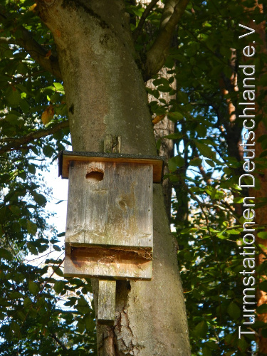 Bild zum Eintrag (1151678-329)
