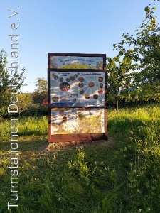 Bild zum Eintrag (1109159-331)