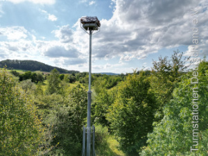 Bild zum Eintrag (1111071-331)