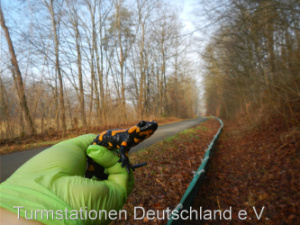 Bild zum Eintrag (1123031-331)