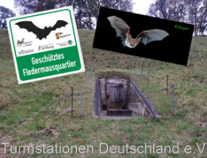 Bild zum Eintrag (1149740-331)